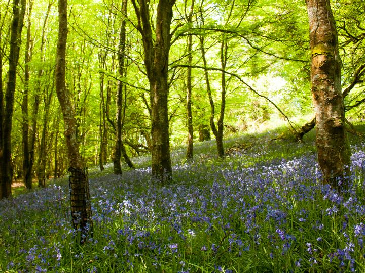 Avalon House Hotel | Co. KIlkenny | 1